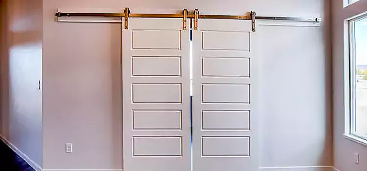 Glass Barn Door with Installation Hardware Kit Junction City